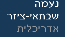 לדף הבית